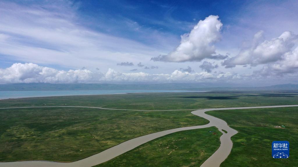 湿地之美丨青海湖湿地