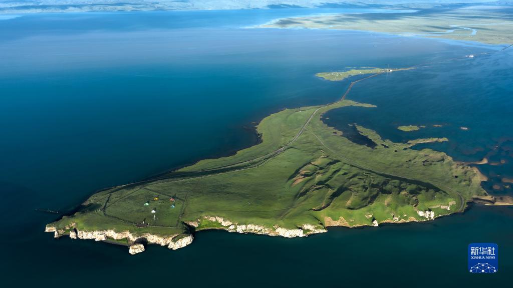 湿地之美丨青海湖湿地