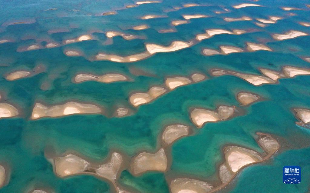 湿地之美丨青海湖湿地