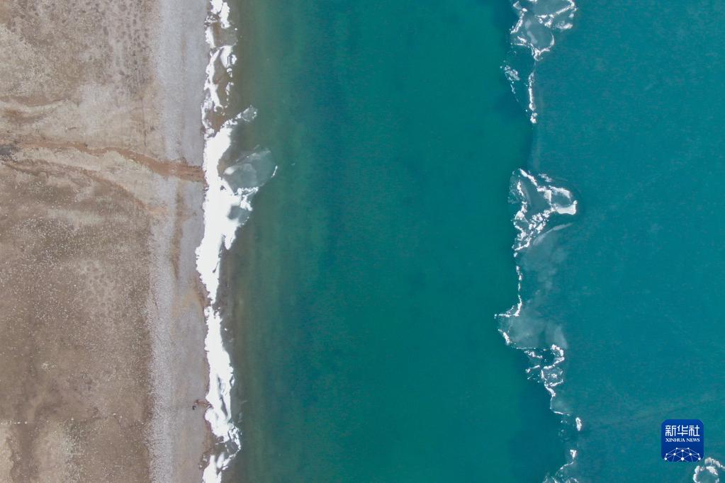 湿地之美丨青海湖湿地