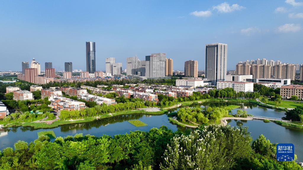 大美湿地城市丨东营