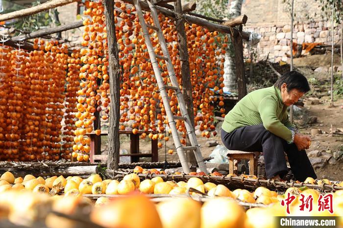 图为三门峡市渑池县段村乡村民在加工柿饼。　王一博 摄