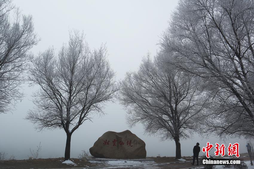 吉林松花江畔“雾锁”雾凇 美景幻如仙境