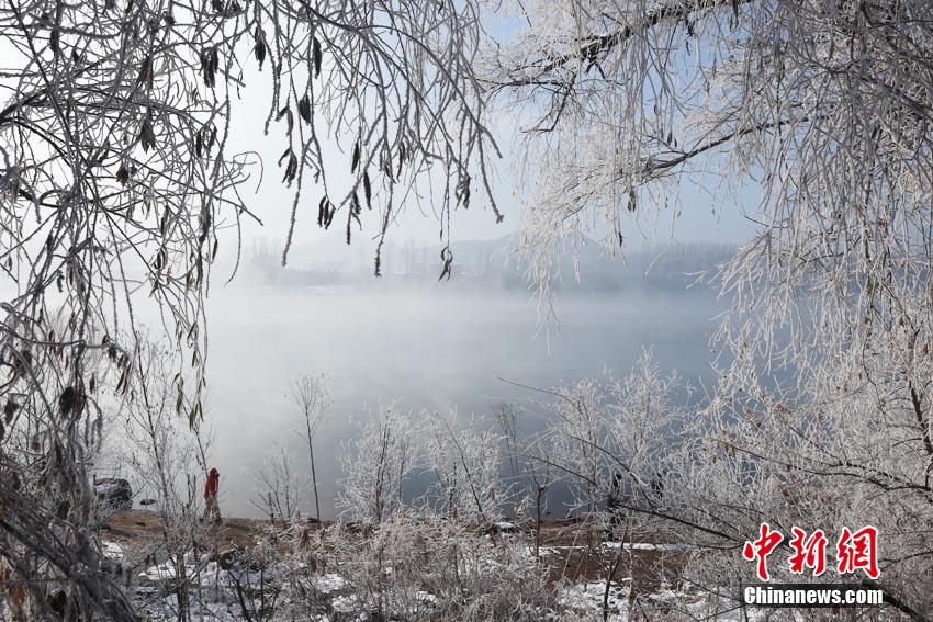 吉林松花江畔“雾锁”雾凇 美景幻如仙境
