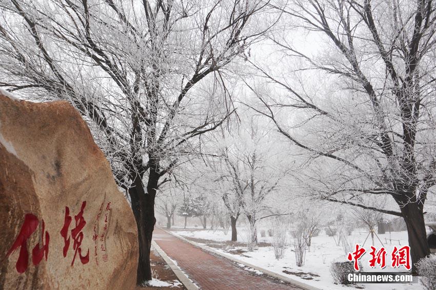 吉林松花江畔“雾锁”雾凇 美景幻如仙境