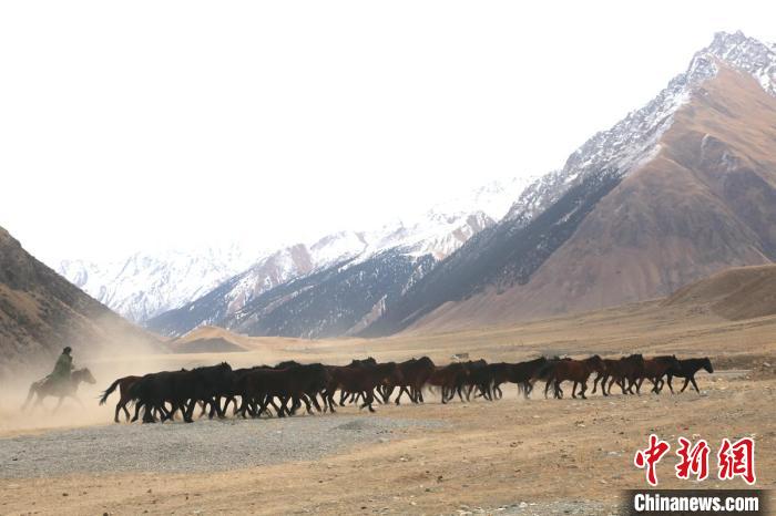 新疆高原牧民迎来一年冬季转场