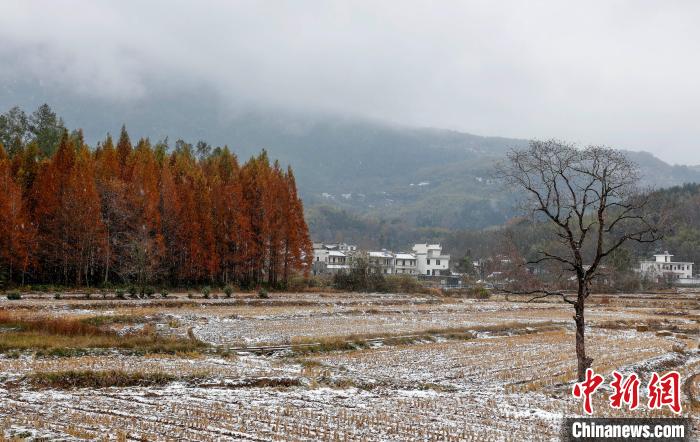 安徽黄山：雪染宏村 淡雅如画