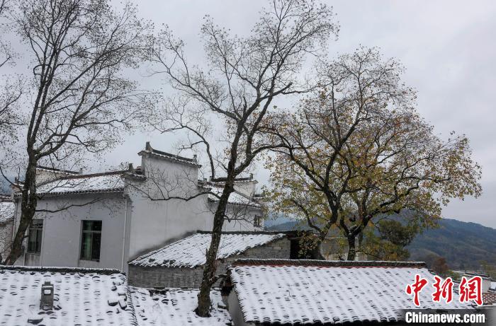 安徽黄山：雪染宏村 淡雅如画