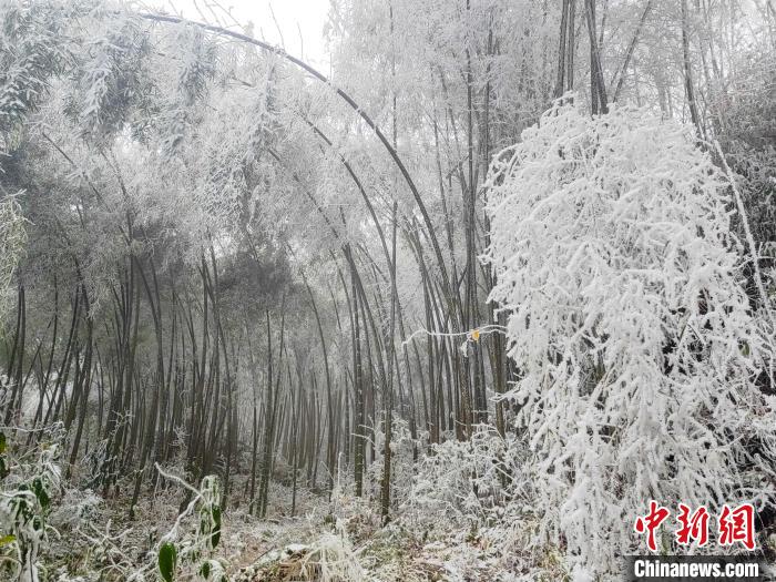 寒潮抵达广西 大山苗乡变“雪乡”