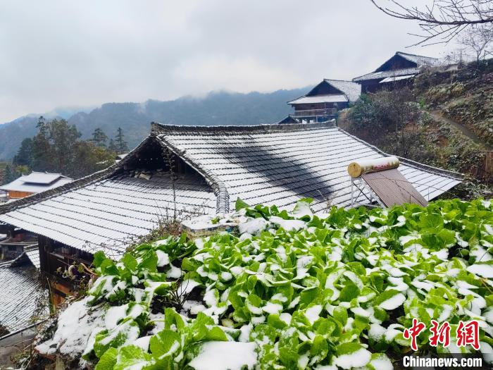 寒潮抵达广西 大山苗乡变“雪乡”