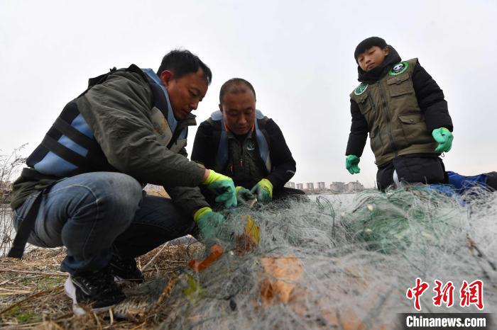 山东青岛：守护湿地迎“国际志愿者日”