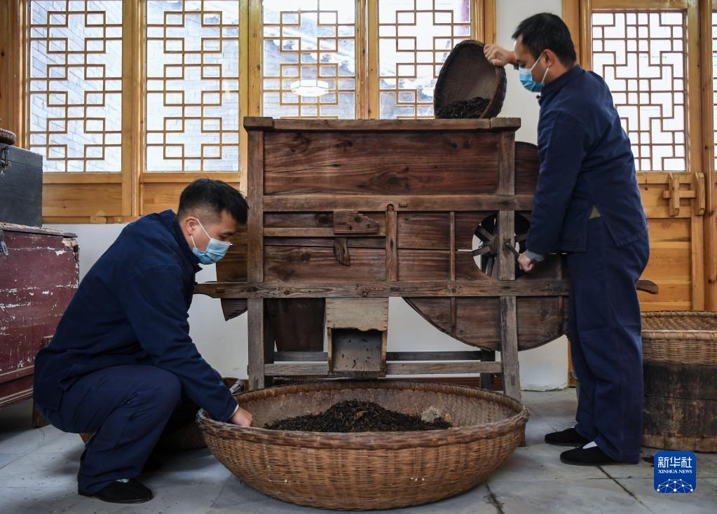 “丝路黑金”咸阳茯茶诞生记