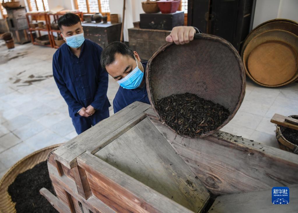 “丝路黑金”咸阳茯茶诞生记