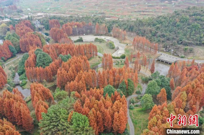 航拍贵阳花溪十里河滩湿地公园 层林尽染美如画