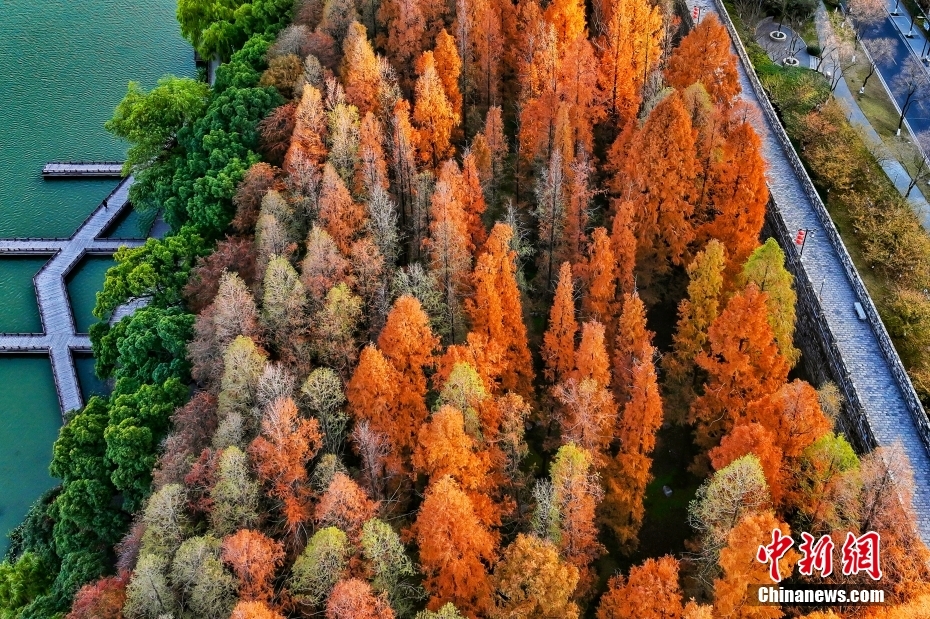航拍南京玄武湖冬日壮观景致