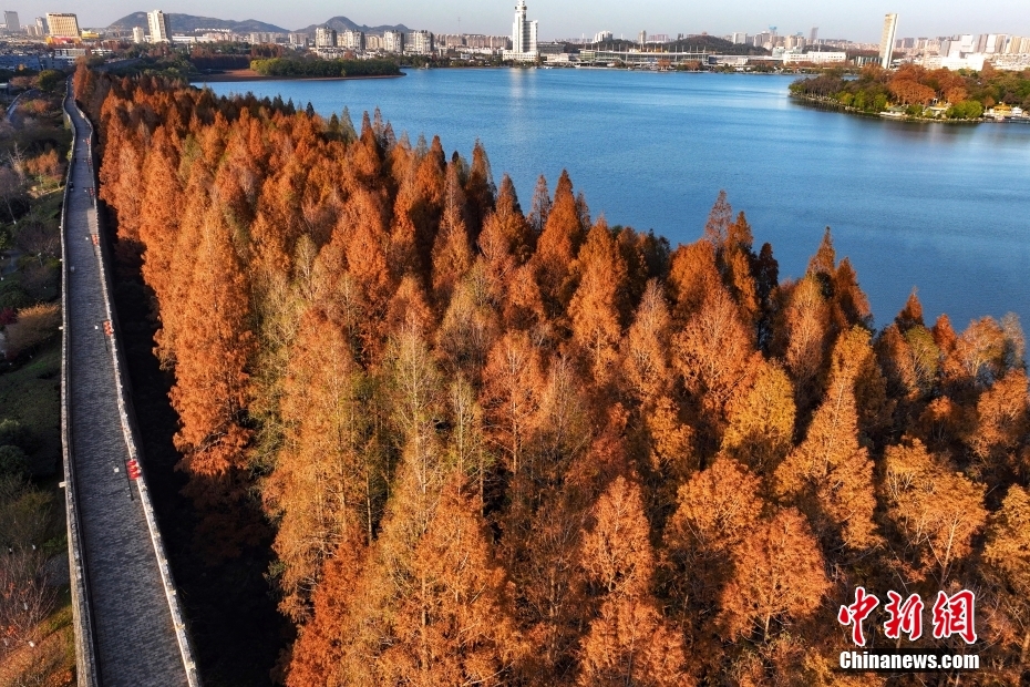 航拍南京玄武湖冬日壮观景致