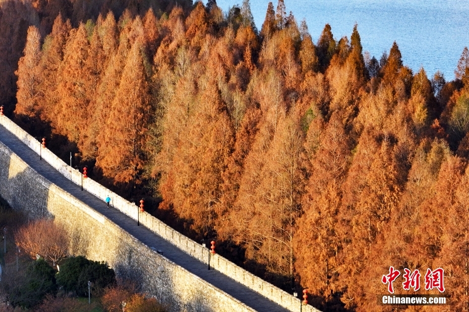 航拍南京玄武湖冬日壮观景致