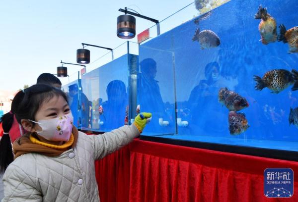 福建福州：“福鱼迎春、福气满城”