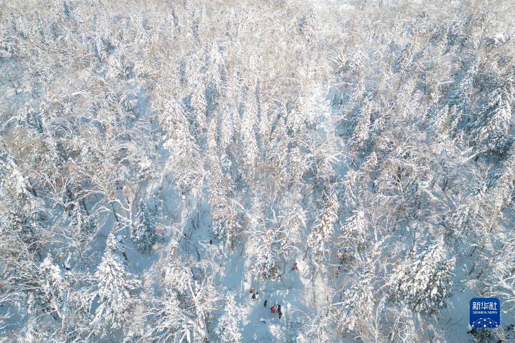 走进牡丹江“冰雪画廊”