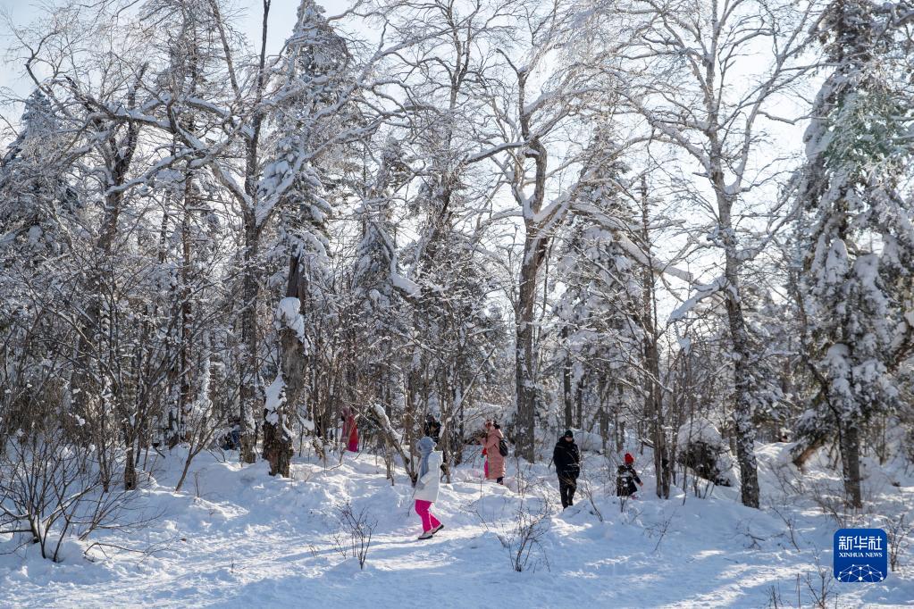 走进牡丹江“冰雪画廊”