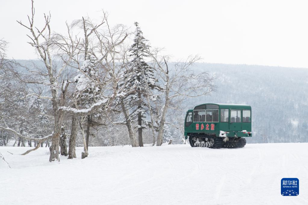 走进牡丹江“冰雪画廊”