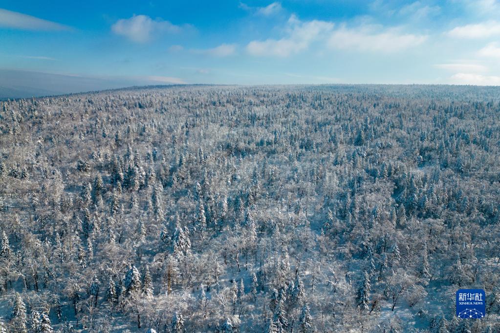 走进牡丹江“冰雪画廊”