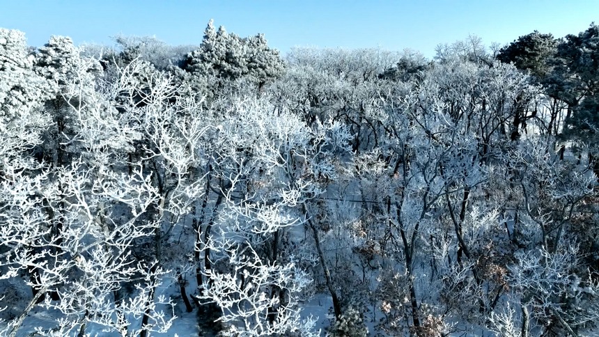 黑龙江兴凯湖现雾凇奇观