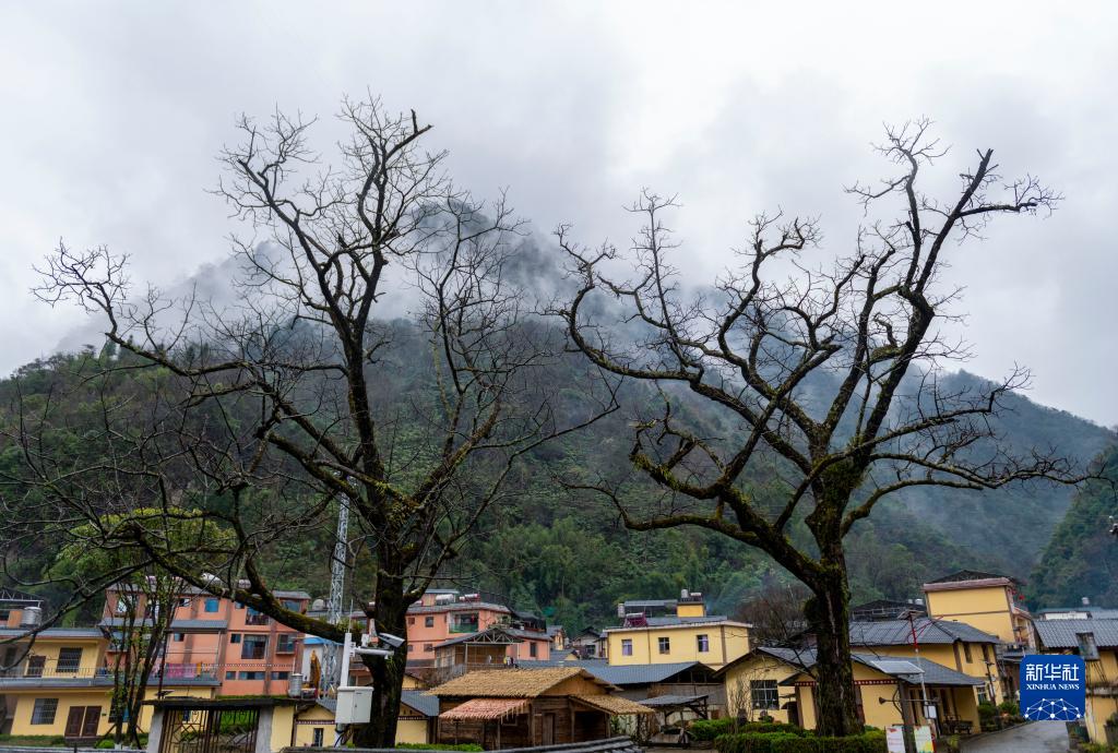 云南怒江：美丽乡村入画来