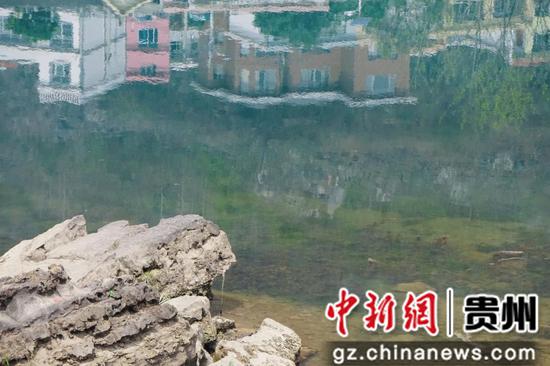 贵州：清镇市新店镇借赏花季推出众多旅游活动