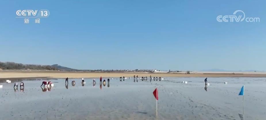 天空地立体遥感高精度监测 守护草木生灵 给美丽中国添彩增绿