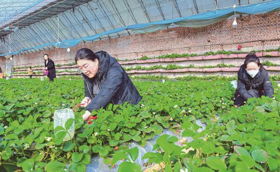 吉林：农旅融合 全面推进乡村旅游业发展