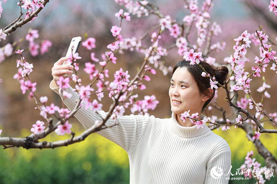 马鞍山当涂：桃花村里赏桃花 青山脚下春意浓