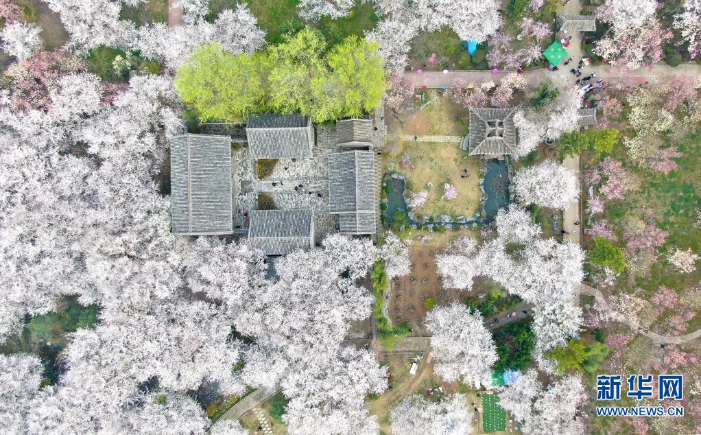 河南鄢陵：赏花游园 乐享春光