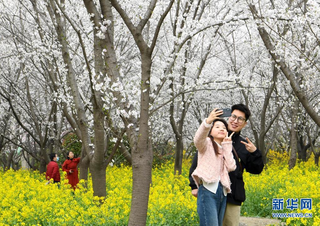 河南鄢陵：赏花游园 乐享春光