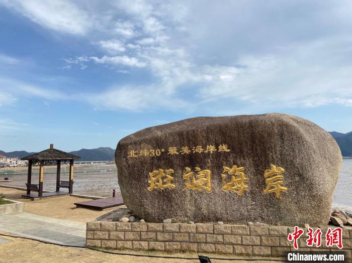 浙江乡村观察：“海岛村”如何闯出振兴“蓝海”？