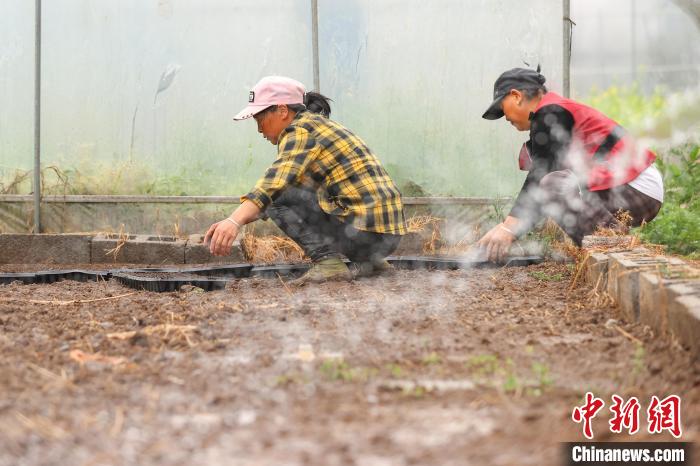贵州桐梓：谷雨将至农事忙