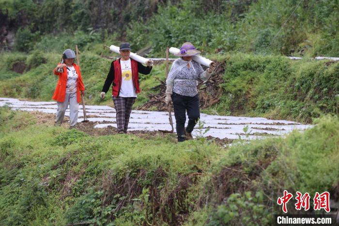 贵州桐梓：谷雨将至农事忙