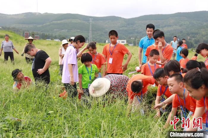 山东掀起研学游热潮 探索旅游业新动能