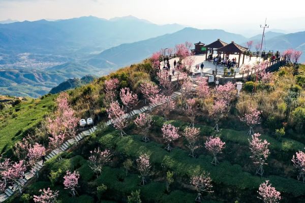 【大国新村：沿着总书记的足迹】厦门同安：仰望青山是金山