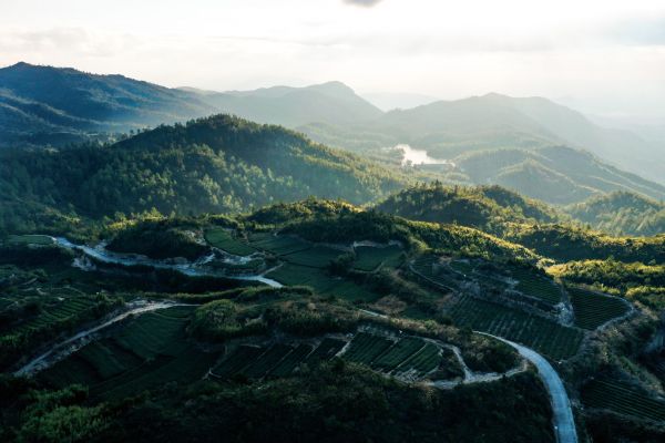 【大国新村：沿着总书记的足迹】厦门同安：仰望青山是金山