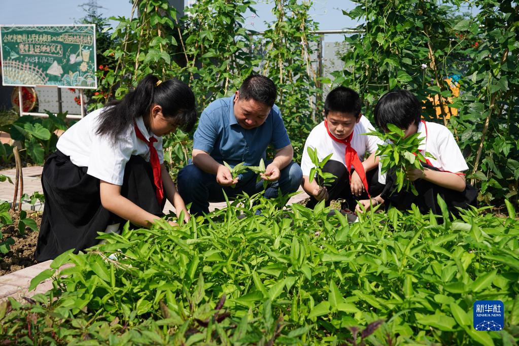 合肥：劳动点亮毕业季