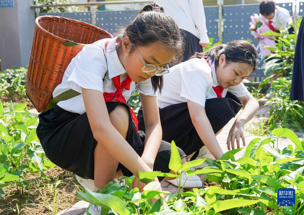 合肥：劳动点亮毕业季