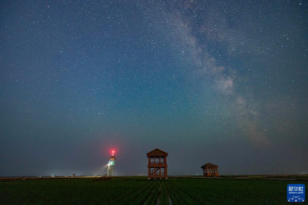 稻田之上 星空璀璨