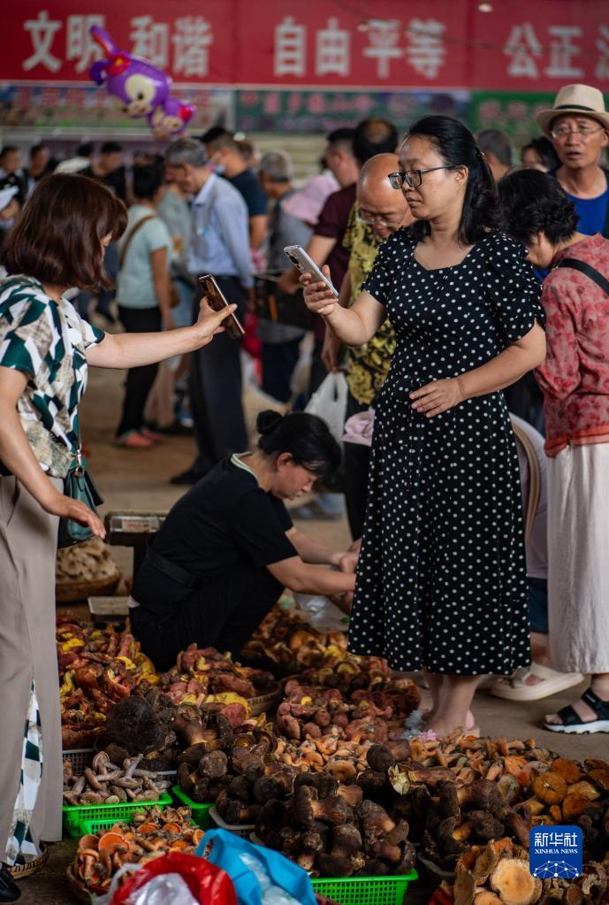 云南野生菌大量上市