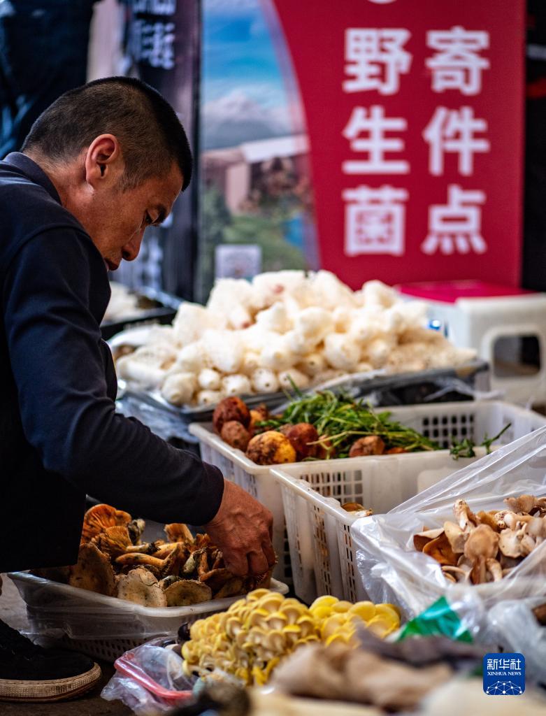 云南野生菌大量上市