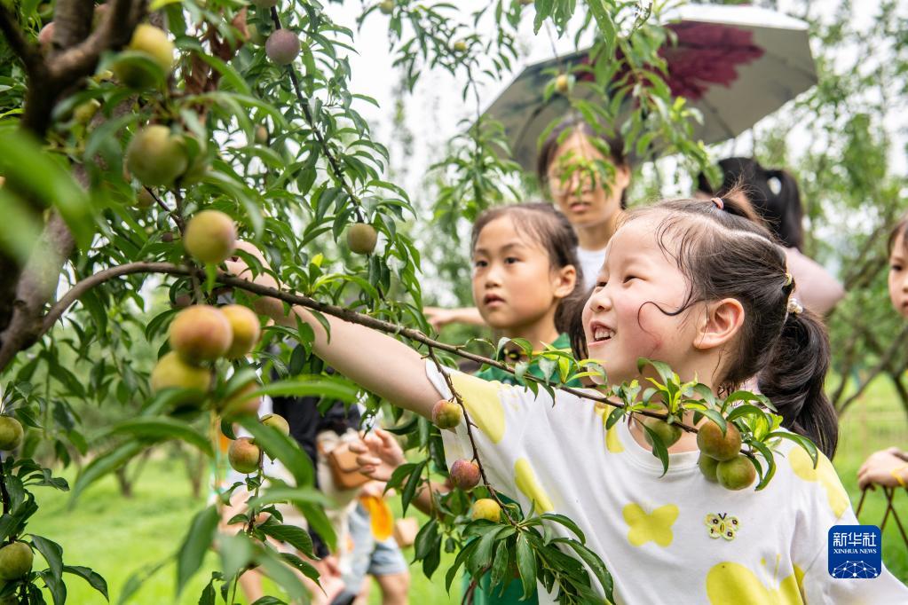 新时代中国调研行·长江篇丨长江上游最大“江心绿岛”成“生态课堂”