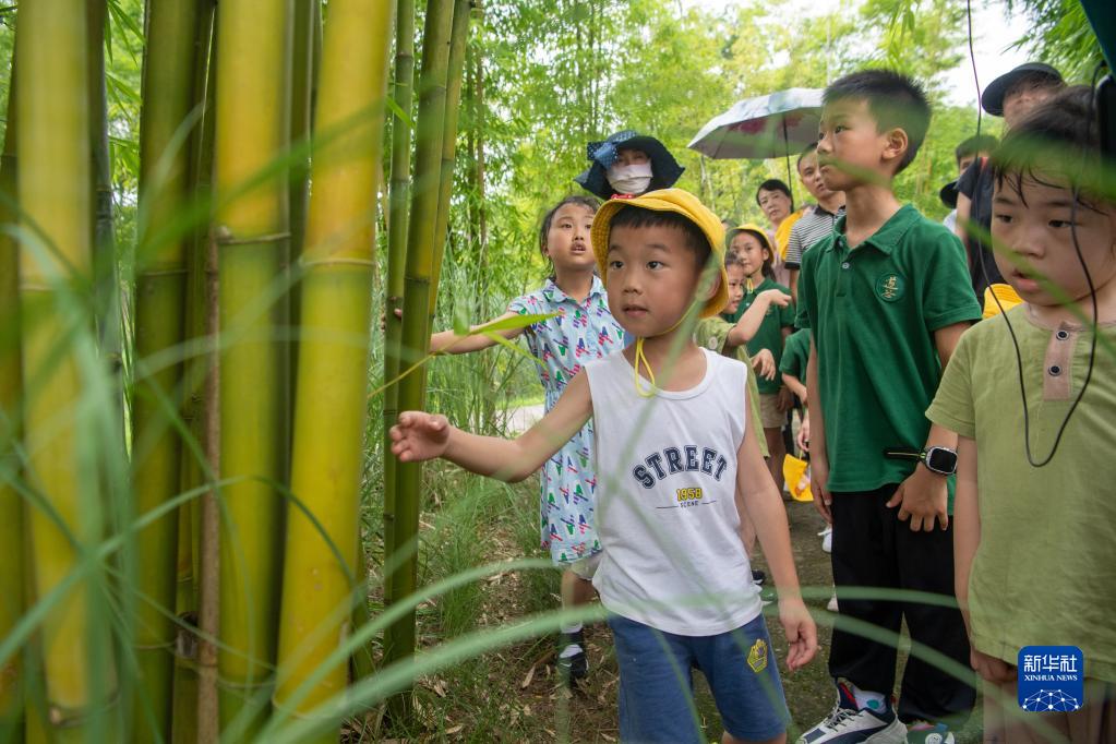 新时代中国调研行·长江篇丨长江上游最大“江心绿岛”成“生态课堂”