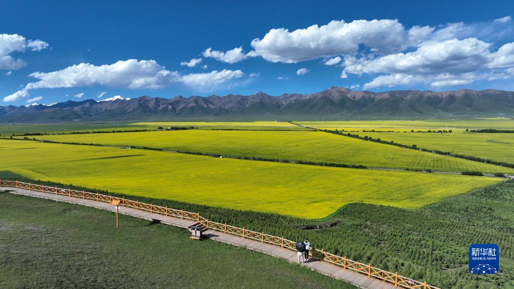 美丽中国丨祁连山之夏