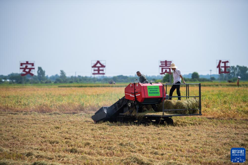 农业机械化护航夏粮丰收