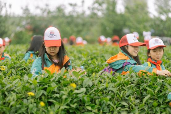 重庆市巴南区龙洲湾小学：“三化”并进 好习惯轻松养成